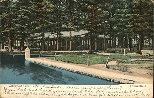 Wildwood Park Killingly, Connecticut CT Eredeti Antik Képeslap, 1906