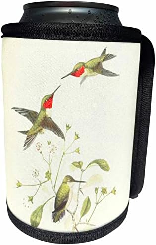 3dRose Vintage Ruby Torkú Kolibri Madár Art Nyomtatás. - Lehet Hűvösebb Üveg Wrap (cc-364647-1)